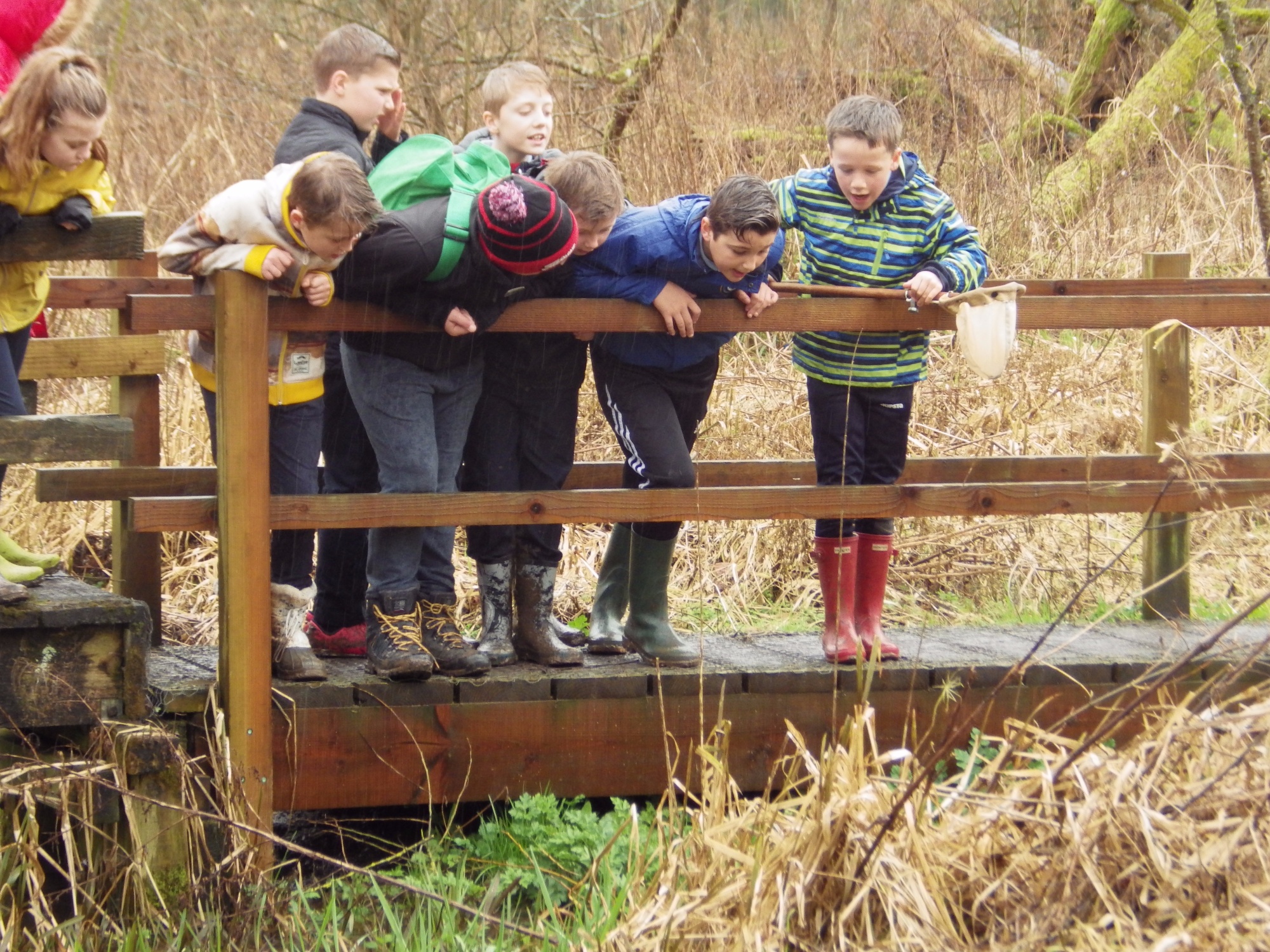 Woodstock CE Primary School Principles of Teaching Science